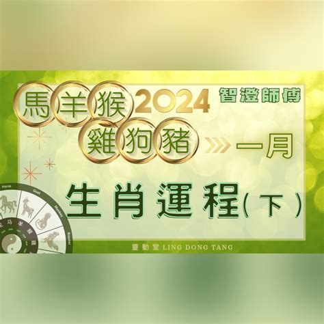 2024年豬生肖運程